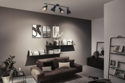 Спот Paulmann Davy 66762