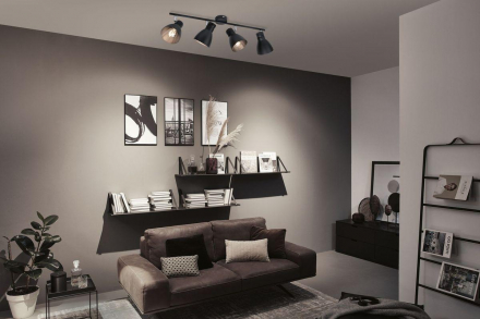 Спот Paulmann Davy 66762