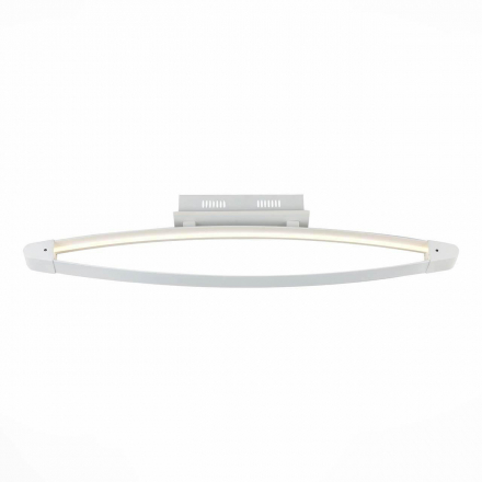 Потолочный светодиодный светильник ST Luce SL920.102.01