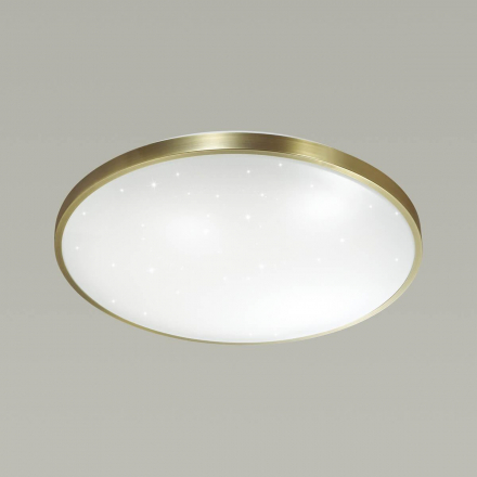 Настенно-потолочный светодиодный светильник Sonex Pale Lota bronze 2089/EL