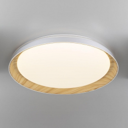 Потолочный светодиодный светильник Citilux Mega CL752452G