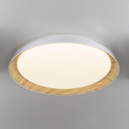 Потолочный светодиодный светильник Citilux Mega CL752452G