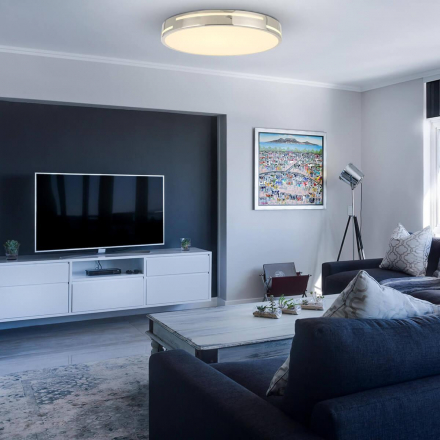 Потолочный светодиодный светильник F-Promo Pall 2744-1C