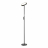Торшер Lussole Carmel LSP-0901-SE