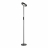 Торшер Lussole Carmel LSP-0901-SE