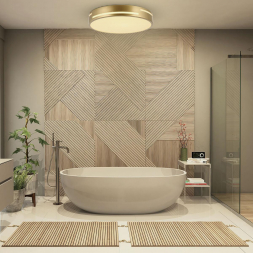 Потолочный светодиодный светильник F-Promo Pall 2745-1C