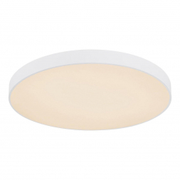 Потолочный светодиодный светильник Globo Leanara 41756-48W