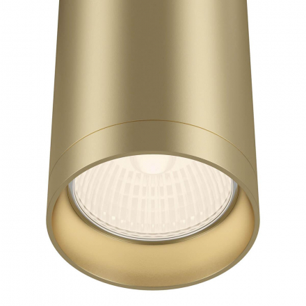 Потолочный светильник Maytoni Focus C010CL-01MG