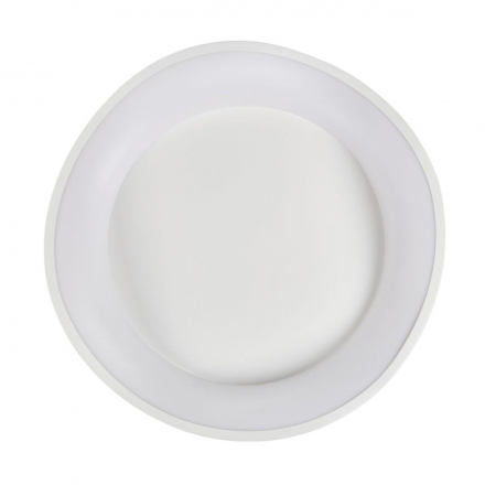 Потолочный светодиодный светильник MyFar Ceiling Diona MR9170-CL