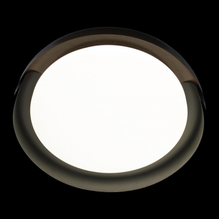 Потолочный светодиодный светильник Loft IT Coin 10198 Black