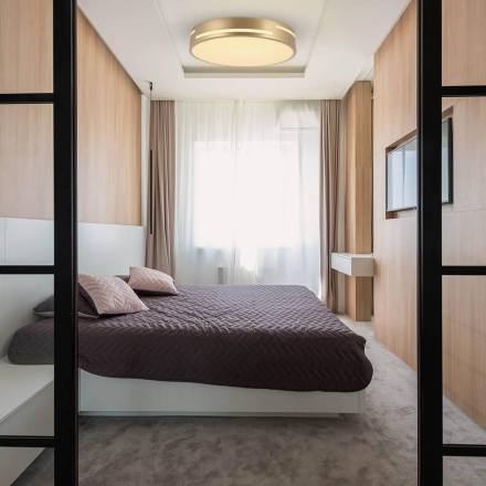 Потолочный светодиодный светильник F-Promo Pall 2745-2C