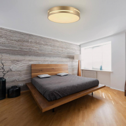 Потолочный светодиодный светильник F-Promo Pall 2745-2C