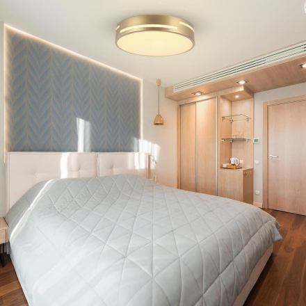 Потолочный светодиодный светильник F-Promo Pall 2745-2C