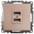 Розетка 2хUSB Stekker Катрин шампань GLS10-7115-02 39602
