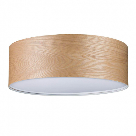 Потолочный светильник Paulmann Alva 79650