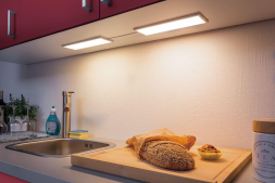 Мебельный светодиодный светильник Paulmann Ace Basic 70777