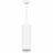 Подвес Lightstar Rullo 590086