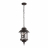 Уличный подвесной светильник Loft IT Prato 100021P