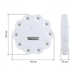 Кемпинговый светодиодный фонарь ЭРА Трофи кемпинг от батареек 25х130 130 лм TK10 Б0003942