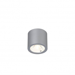 Потолочный светодиодный светильник Favourite Deorsum 2808-1C