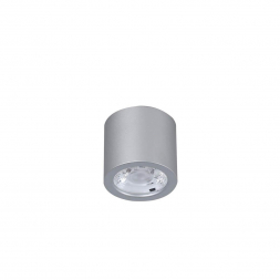 Потолочный светодиодный светильник Favourite Deorsum 2808-1C