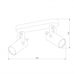 Спот TK Lighting 2798 Redo Black Gold
