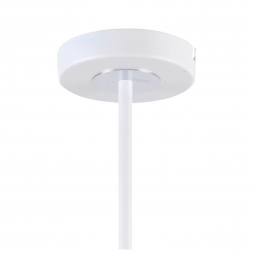Потолочная люстра F-Promo Viator 2559-5P