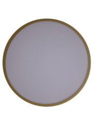 Потолочный светодиодный светильник Zortes Gabby ZRS.90610.30