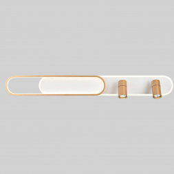 Потолочная светодиодная люстра Favourite Planar 4075-2C