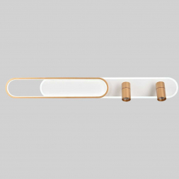 Потолочная светодиодная люстра Favourite Planar 4075-2C