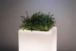 Уличный светодиодный светильник Paulmann Lichtobjekt Plant 94183