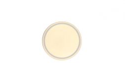 Потолочный светодиодный светильник Zortes Bella ZRS.1200.04