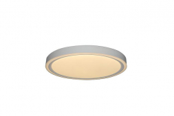 Потолочный светодиодный светильник Zortes Bella ZRS.1200.04