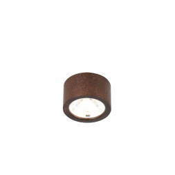 Потолочный светодиодный светильник Favourite Deorsum 2809-1U