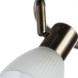 Спот Arte Lamp Parry A5062PL-3AB