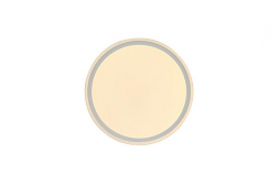 Потолочный светодиодный светильник Zortes Bella ZRS.1200.07