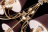 Подвесная люстра Maytoni Chester RC0100-PL-05-R