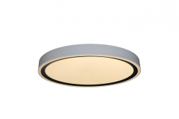 Потолочный светодиодный светильник Zortes Bella ZRS.1201.07
