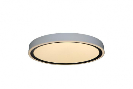 Потолочный светодиодный светильник Zortes Bella ZRS.1201.07