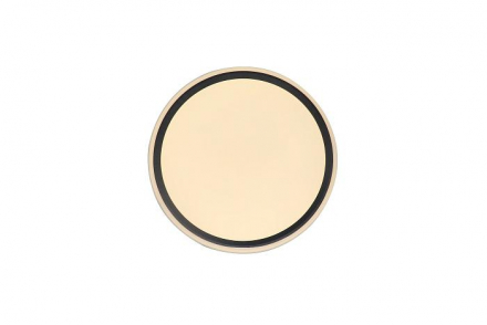 Потолочный светодиодный светильник Zortes Bella ZRS.1201.07