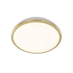 Потолочный светодиодный светильник Citilux Луна CL702162W