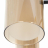 Потолочная люстра Arte Lamp Leo A7027PL-6BK