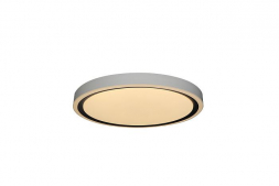 Потолочный светодиодный светильник Zortes Bella ZRS.1201.04