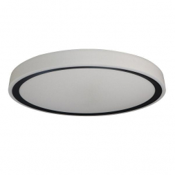 Потолочный светодиодный светильник Zortes Bella ZRS.1201.11