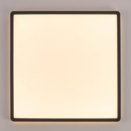 Потолочный светодиодный светильник Citilux Norma CL748K401