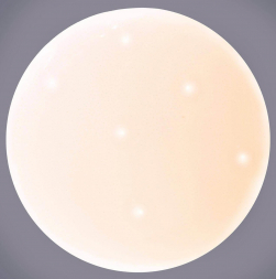 Потолочный светодиодный светильник Arti Lampadari Vista E 1.13.49 W