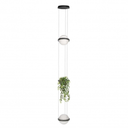 Подвесной светодиодный светильник Loft IT Jardin 10121/2P Dark grey