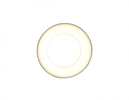 Потолочный светильник Ambrella light Techno TN3411
