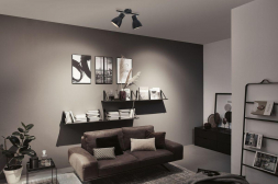 Спот Paulmann Davy 66760