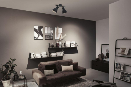 Спот Paulmann Davy 66760